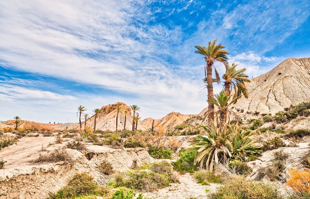 Tabernas Desert