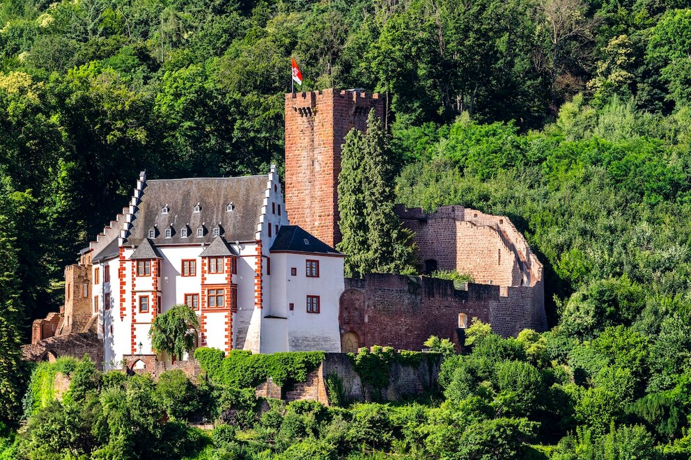 Mildenburg Miltenberg