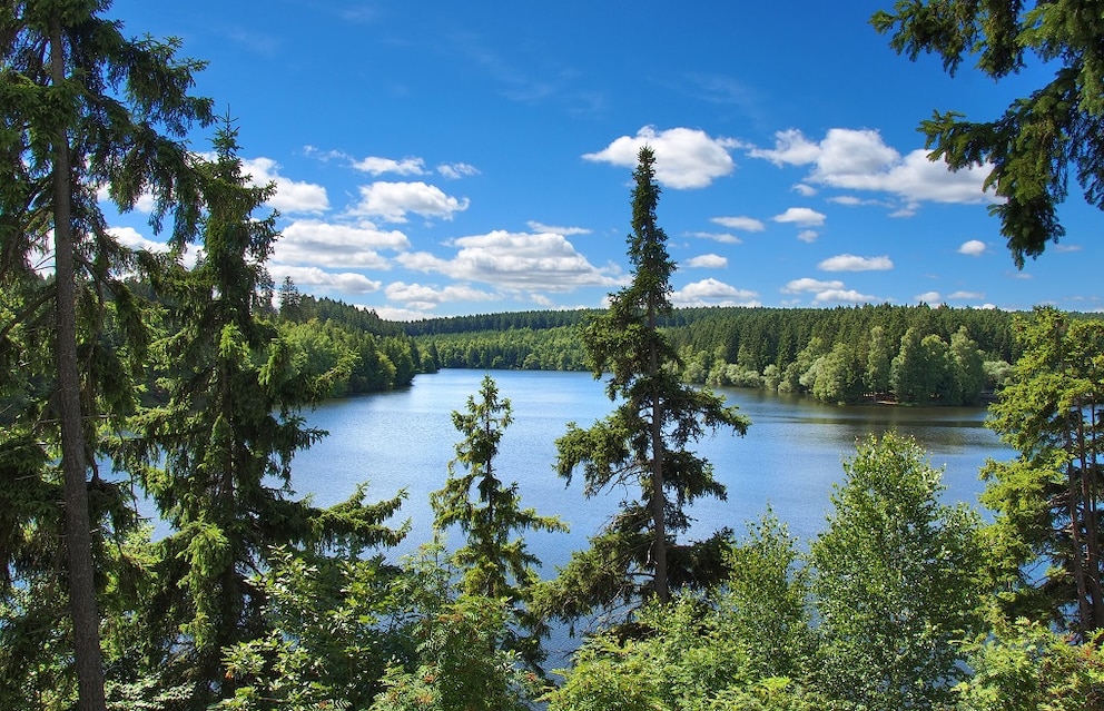 Fl&uuml;sse Harz
