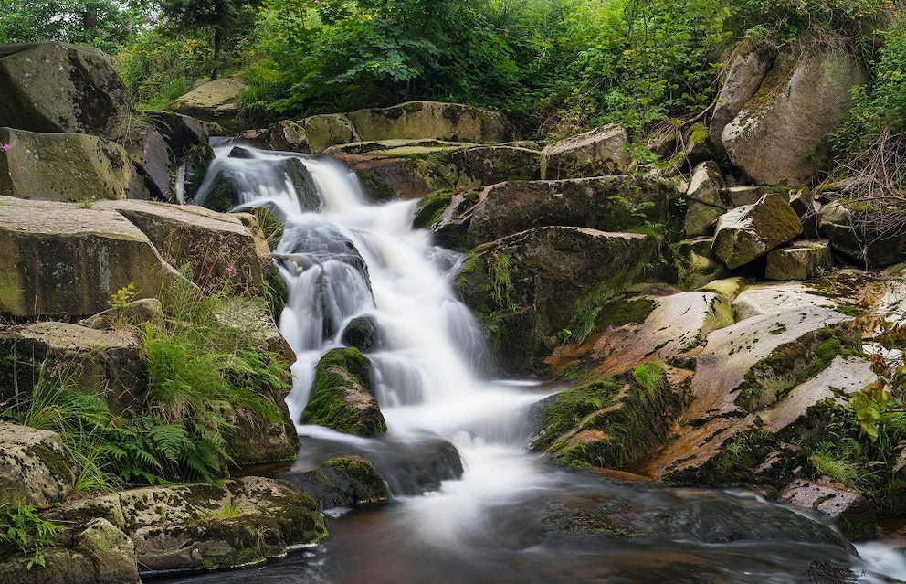 Fl&uuml;sse Harz