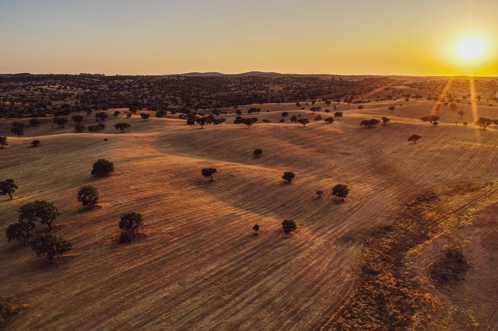 Landschaft im Alentejo in Portugal