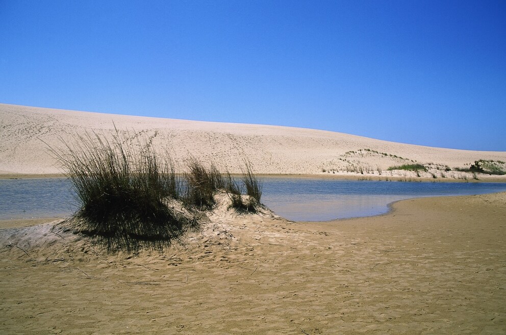 Jockeys ridge state park, outer banks
