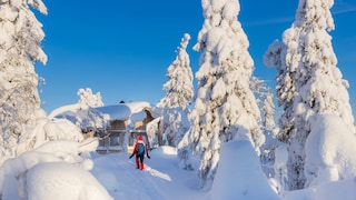 Weihnachtself Lappland