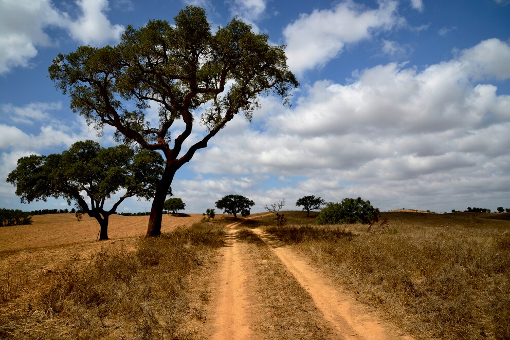 Gravel road near Odemira, Portugal