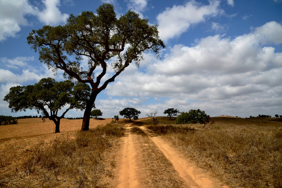 Schotterstra&szlig;e bei Odemira in Portugal