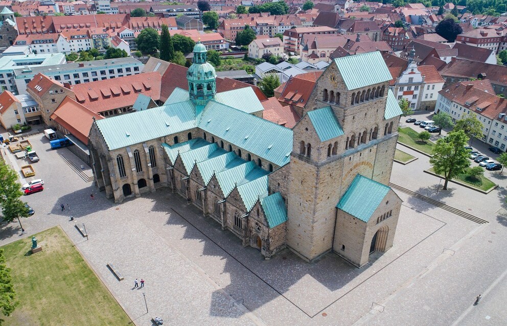 Hildesheim Rosebush