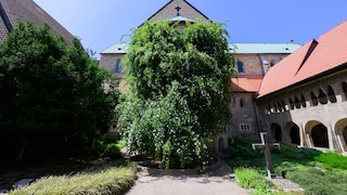 Hildesheim Rosenstock