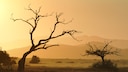 Der Iona-Nationalpark in Angola