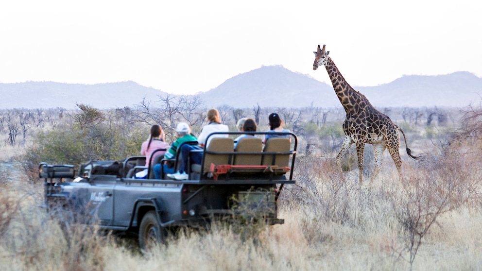 Safarig&auml;ste in Madikwe, S&uuml;dafrika