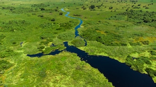 Pantanal-Nationalpark in Brasilien