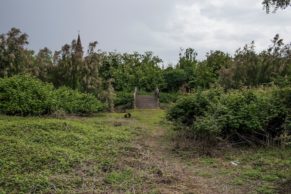 Wilde Natur auf der Insel Poveglia