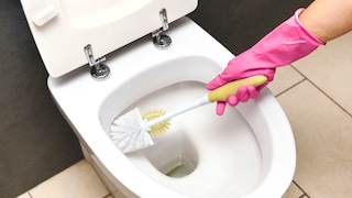 Toilettenbürste in Toilette