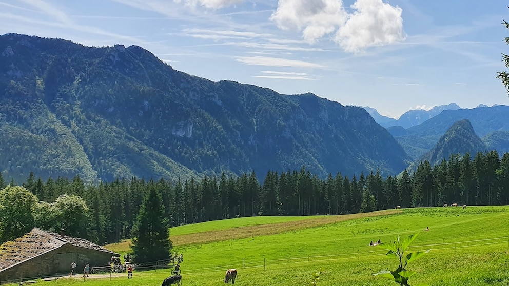 Bäckeralm