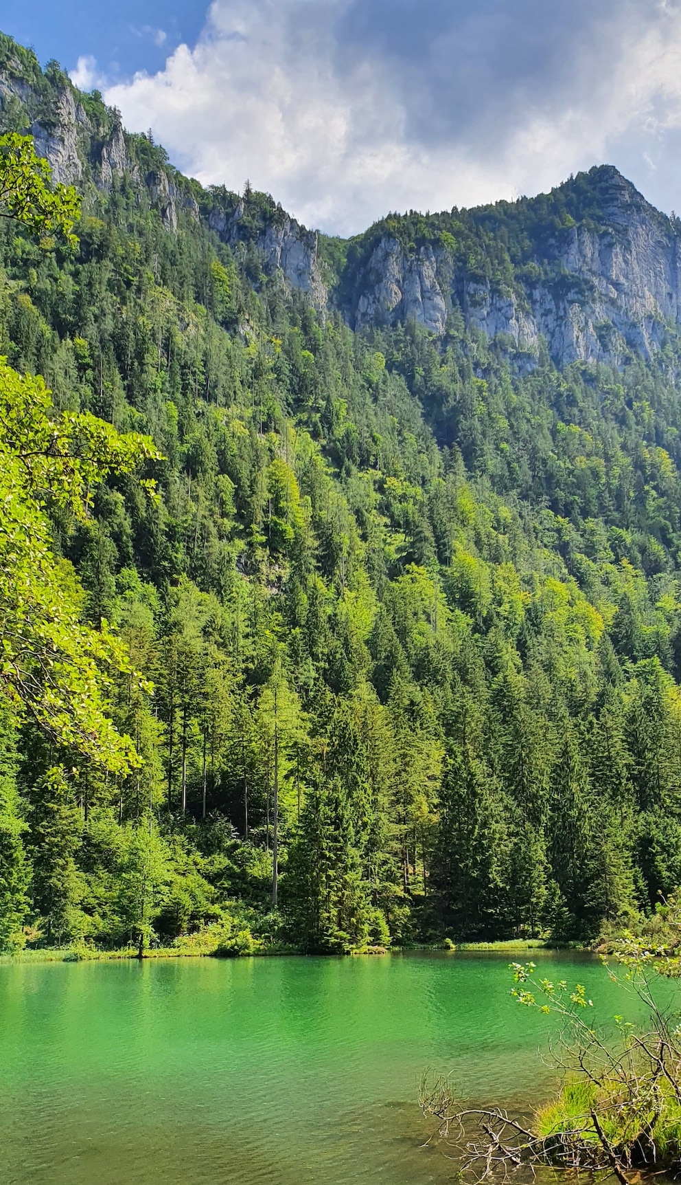 Frillensee
