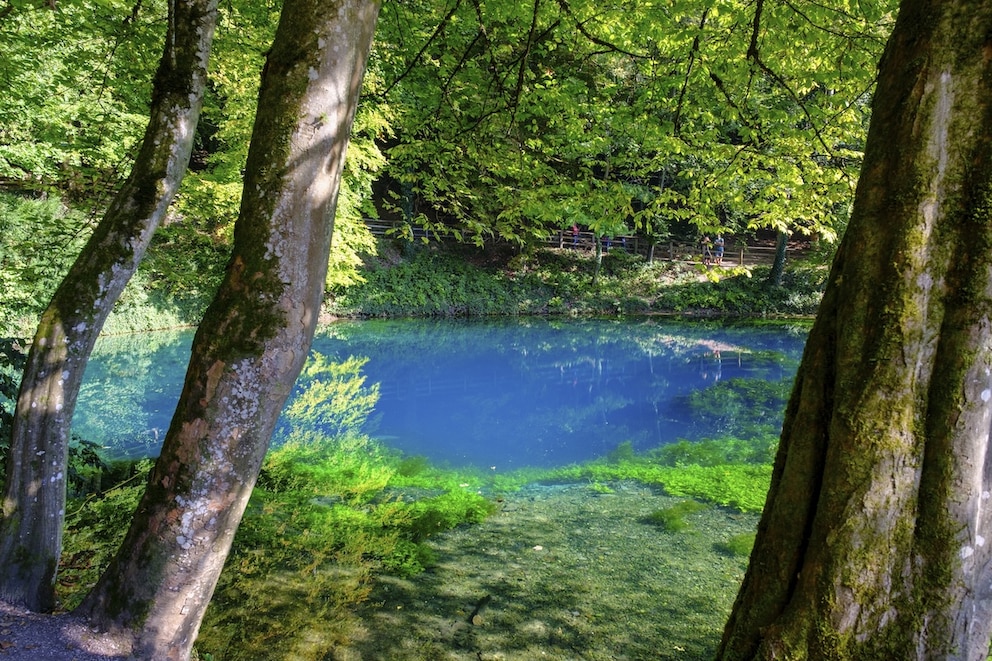 Der Blautopf ist wundersch&ouml;n und mystisch zugleich, denn hier verstecken sich unerforschte H&ouml;hlen im Wasser