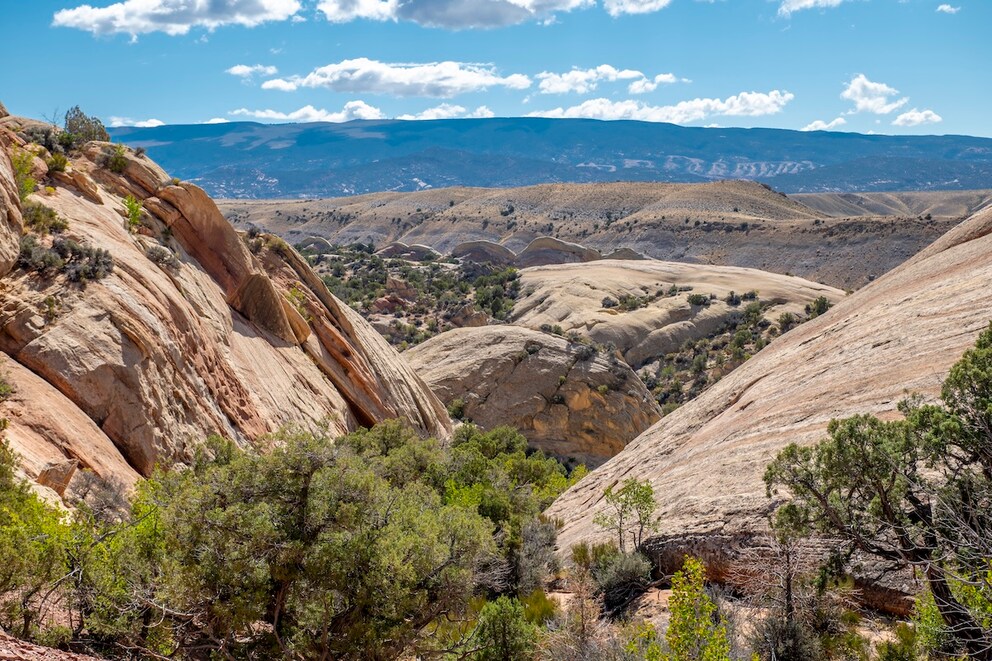 The silver treasure of Butch Cassidy is said to be located in the remote Moffat County in Colorado