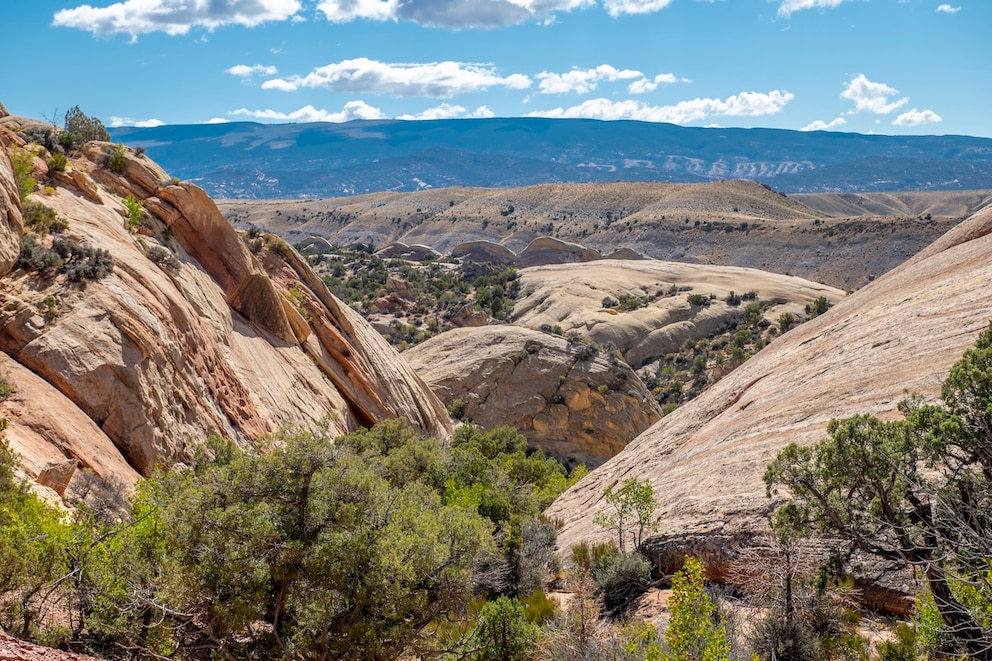 Der Silberschatz von Butch Cassidy soll sich im abgelegenen Moffat County in Colorado befinden