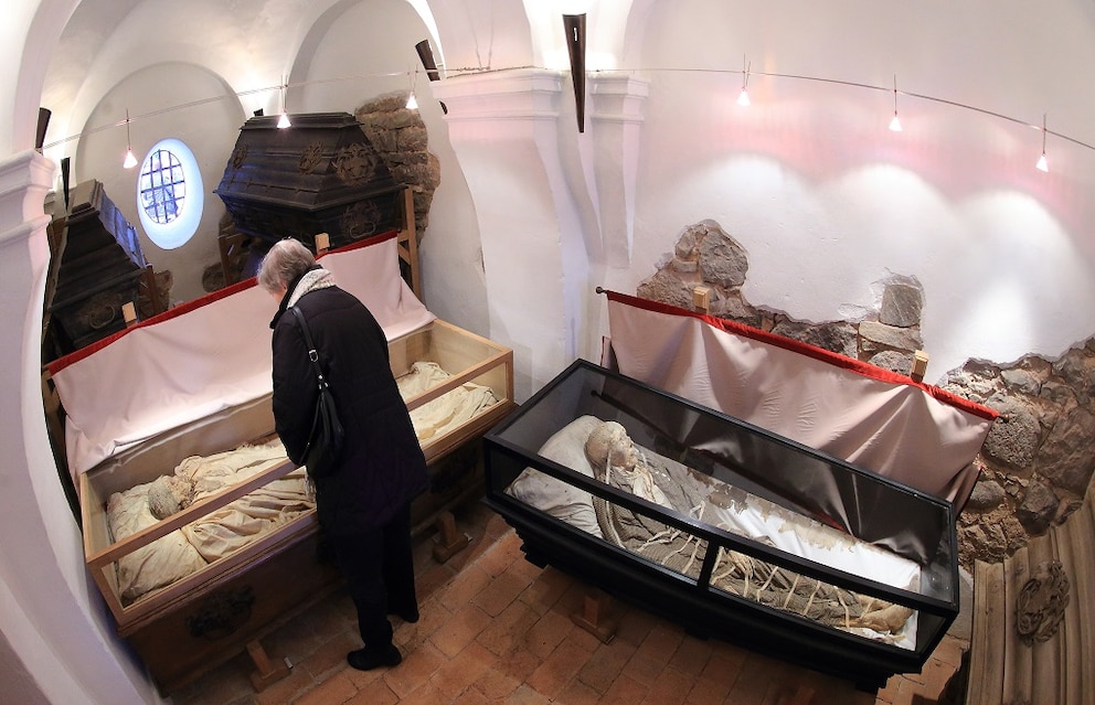 Mummies Nedlitz