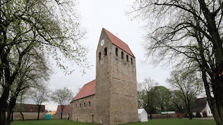 Mumien Nedlitz
