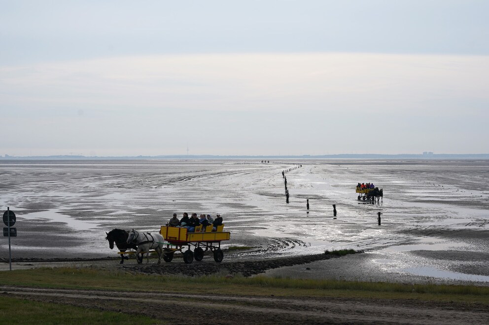 Horse-drawn carriage on Neuwerk