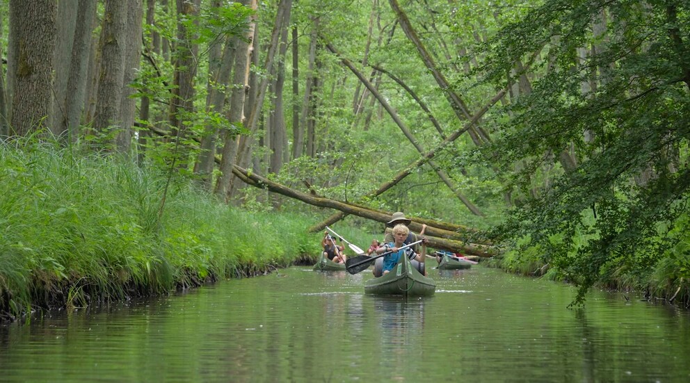 Through enchanted channels, the journey continues in Schwaanhavel