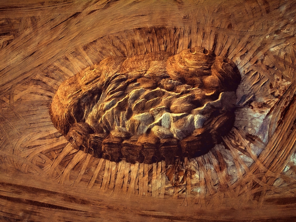 &bdquo;Earth&rsquo;s imprint&ldquo; von Michał Nieścioruk