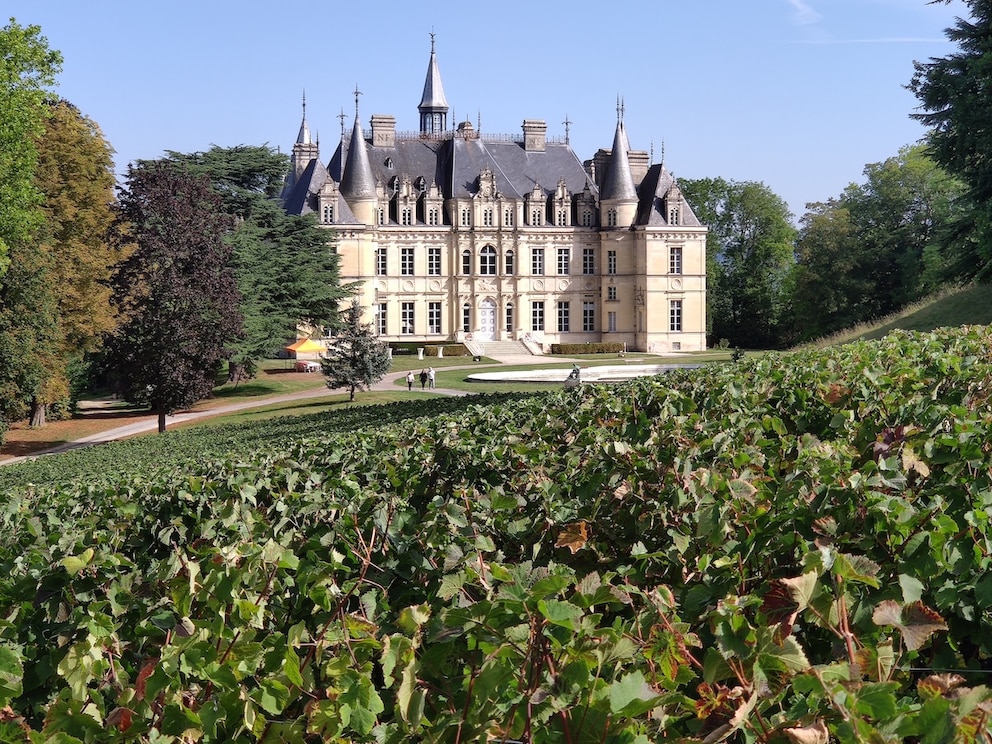 The Renaissance Château de Boursault