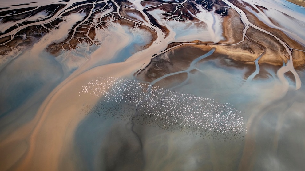 Lake Natron