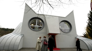 Katzen-Kindergarten