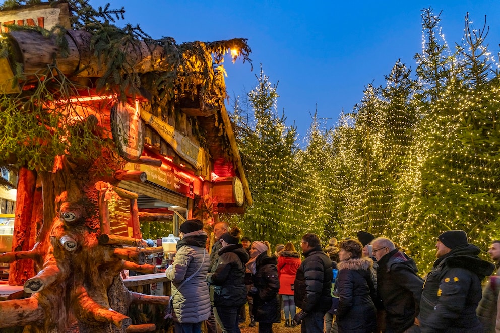 Fir trees on the Schuhhof: In Goslar, a Christmas forest is created for Advent, where the stalls are also hidden