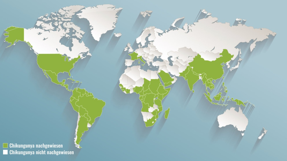 Das Chikungunya-Virus ist inzwischen weit verbreitet