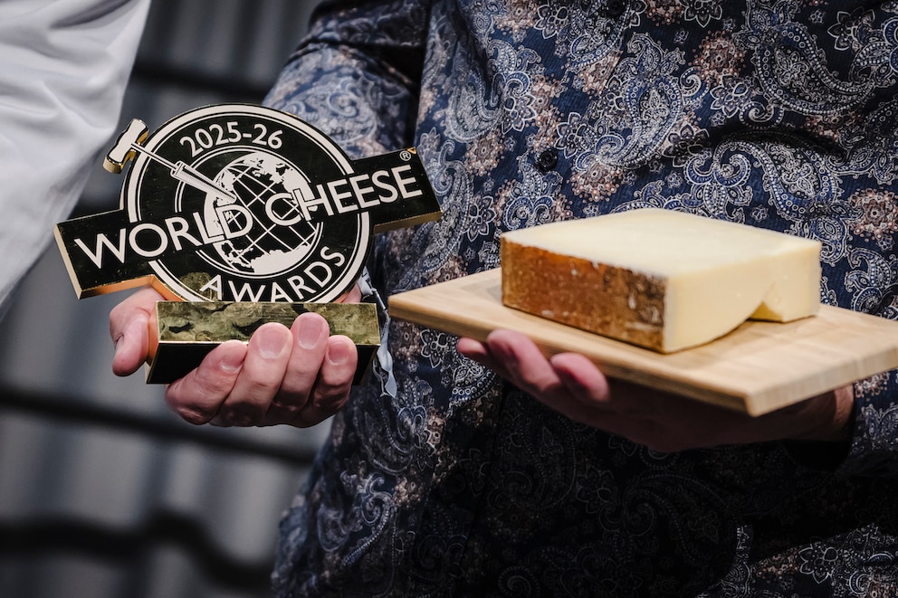 Der Schweizer K&auml;se Gruy&egrave;re AOP Vorderfultigen Spezial
