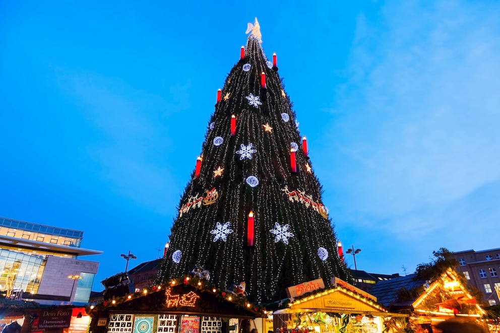 Weihnachtsbaum Dortmund