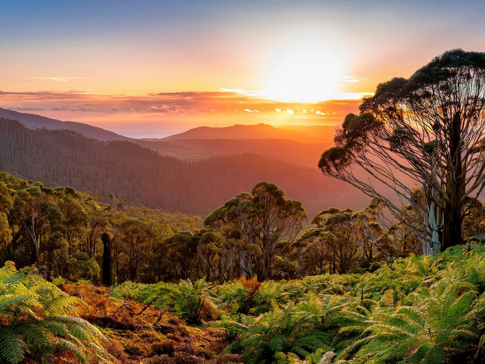 Dandenong in Victoria, Australien