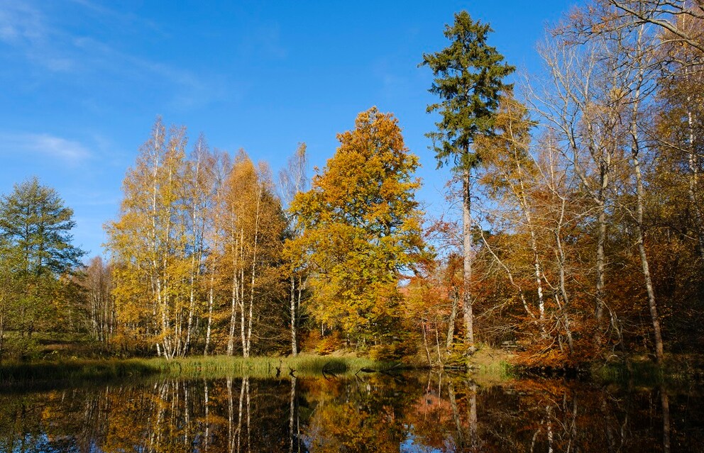 Harz Valleys
