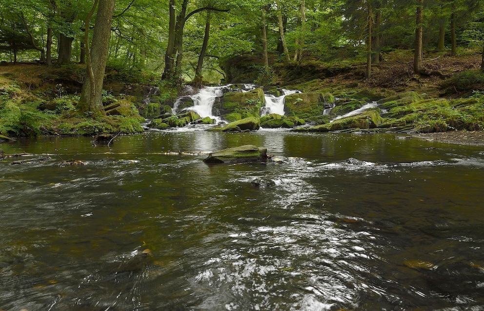 T&auml;ler Harz