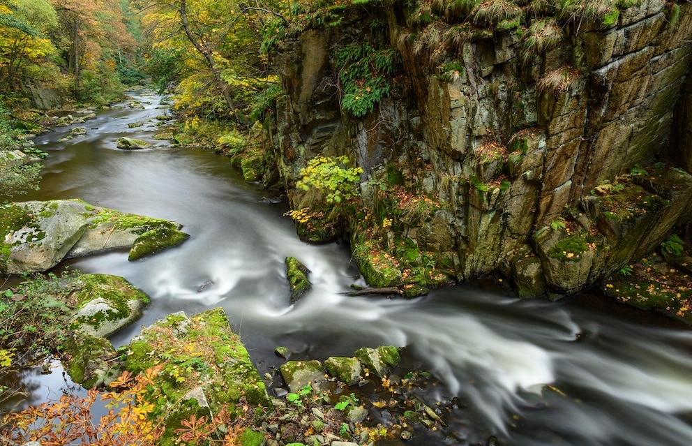 T&auml;ler Harz