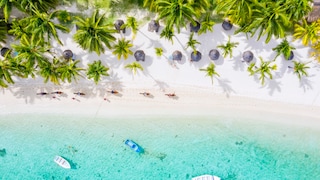 Ferne Traumziele mit tropischen Stränden, exotischen Tierwelten und endlosen Wüsten – geht das auch ohne Jetlag?