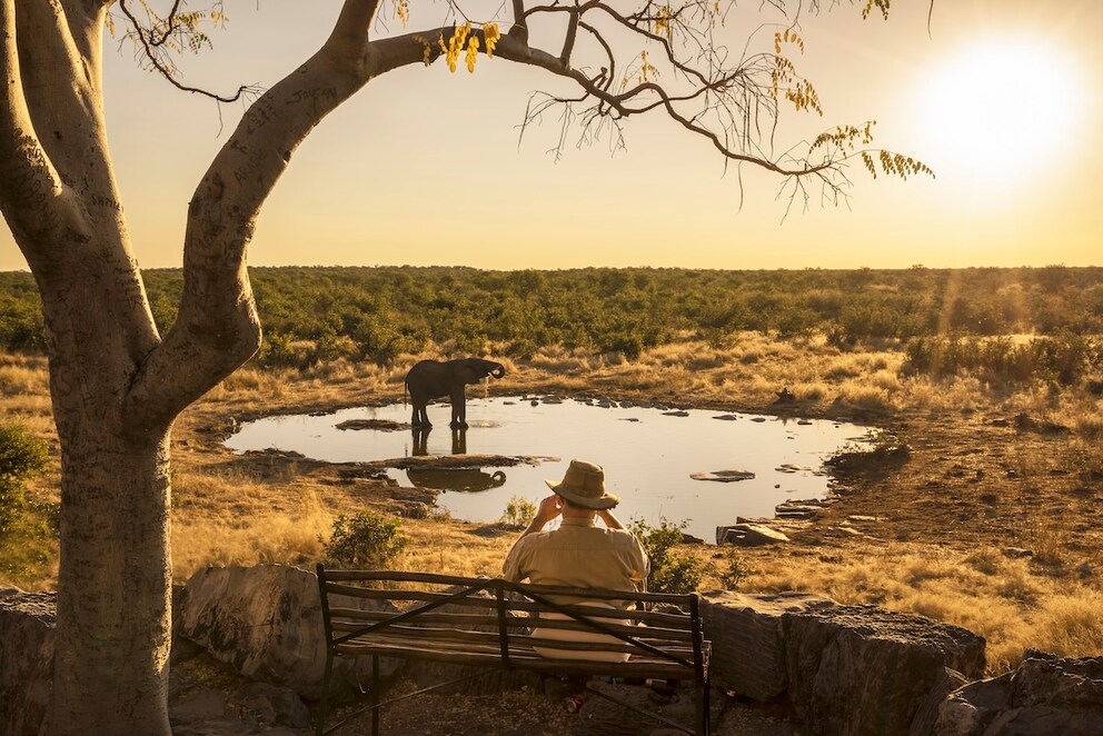 The dream of Namibia: vast desert landscapes, endless horizons, and amazing wildlife sightings