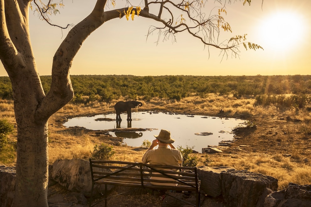 Der Traum von Namibia: weite W&uuml;stenlandschaften, endlose Horizonte und erstaunliche Tierbeobachtungen