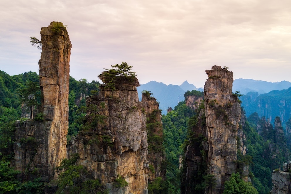Die Kernidee f&uuml;r Pandoras ikonische schwebende Berge stammt aus dem Zhangjiajie National Forest Park in China