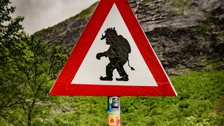 Seltsame Verkehrszeichen sind keine Seltenheit im internationalen Schilderwald