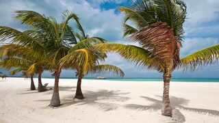Jedes Jahr kürt Tripadvisor die „Best of the Best“-Strände – welche es in diesem Jahr auf das Siegertreppchen geschafft haben, erfahren Sie hier