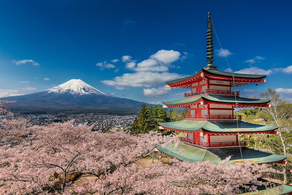 Mount Fuji during cherry blossom with pagoda