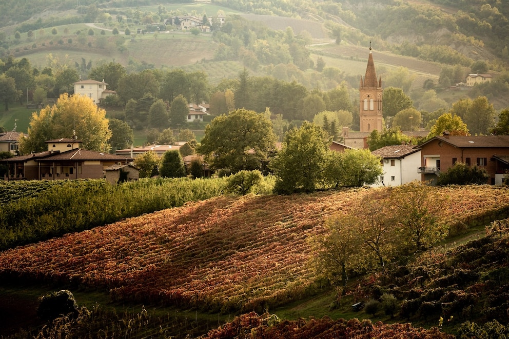 Castelvetro di Modena sits atop vineyards and is considered the culinary heart of the region around Lambrusco and Balsamic