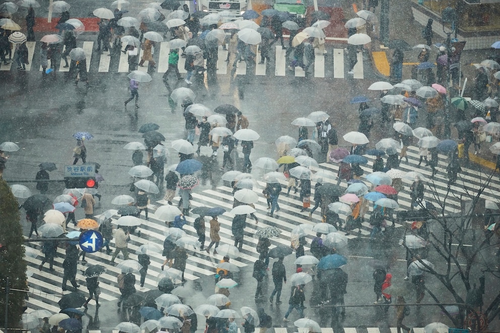 Durchsichtige Regenschirme sieht man in Japan &uuml;berall