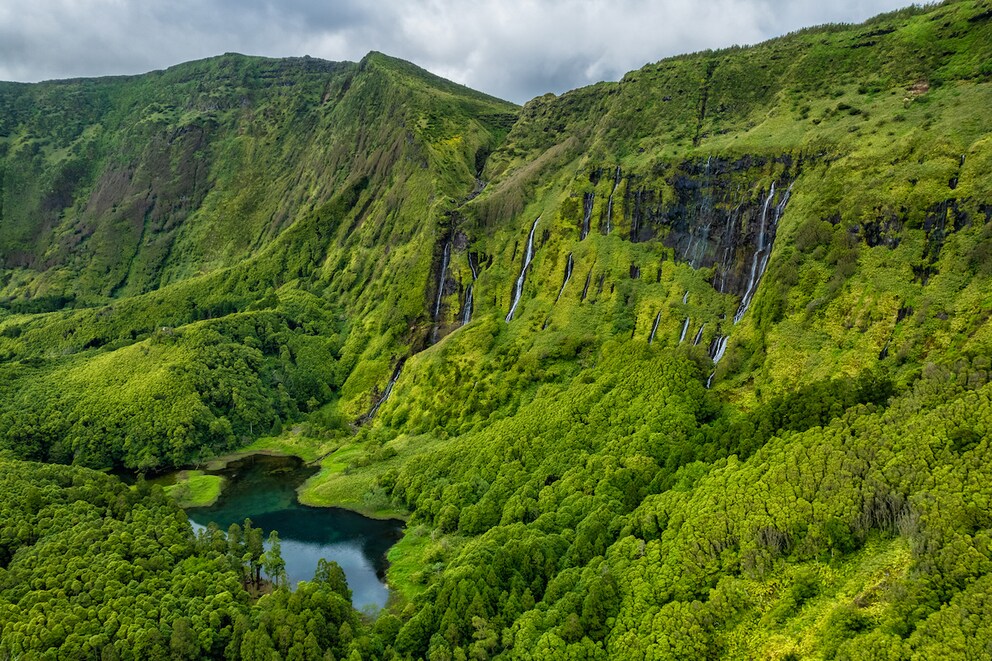Pure nature on the Azores