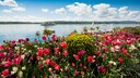Geheimtipps am Bodensee, Ueberlinger Ufer