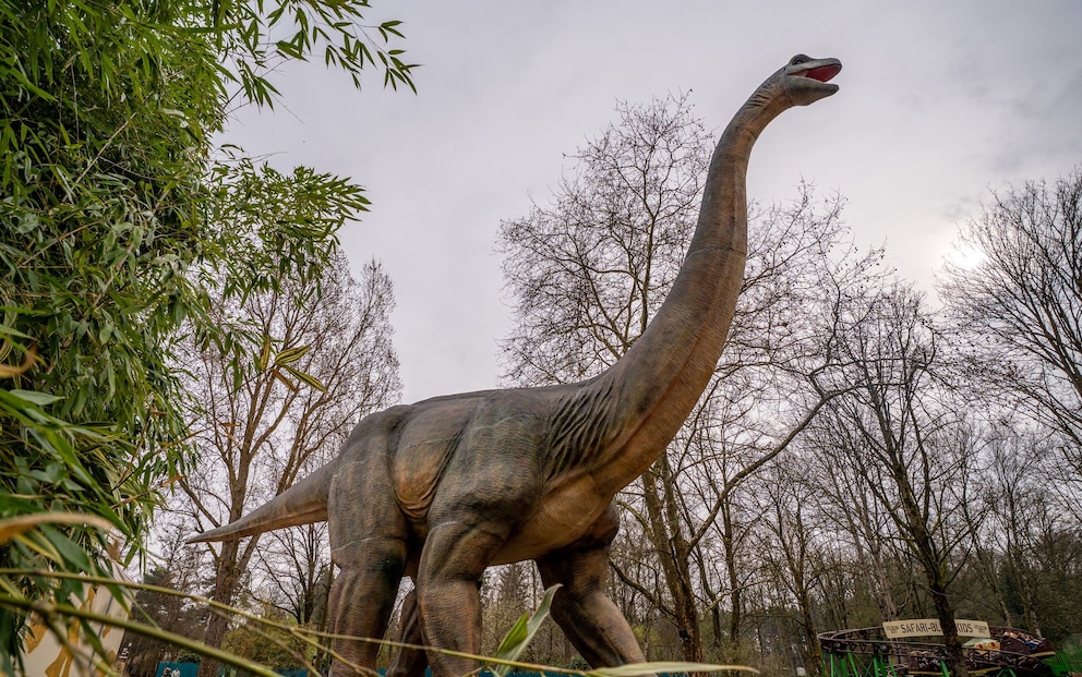 Brontosaurus im Serengeti-Park