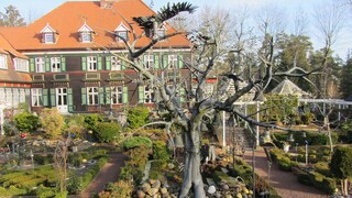 Die Iserhatsche bei Bispingen ist der vielleicht verrückteste „Vergnügungspark“ Deutschlands. Ein Künstler baute ihn in jahrzehntelanger Arbeit selbst